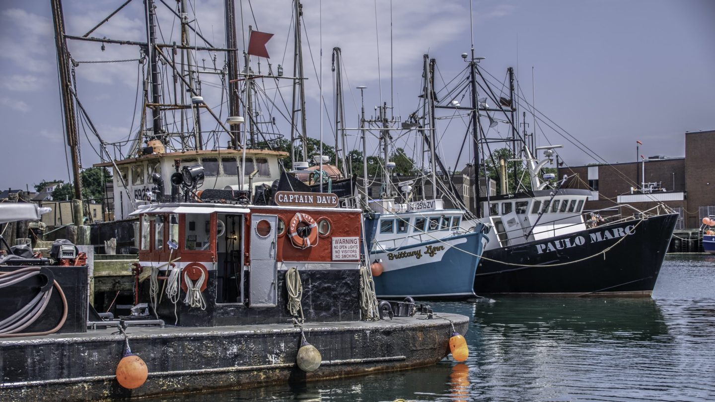 Jakie ryby, taki plan.