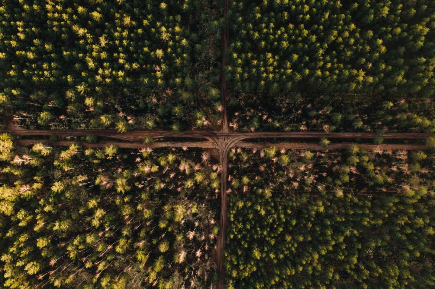 Co najgorszego może się stać?