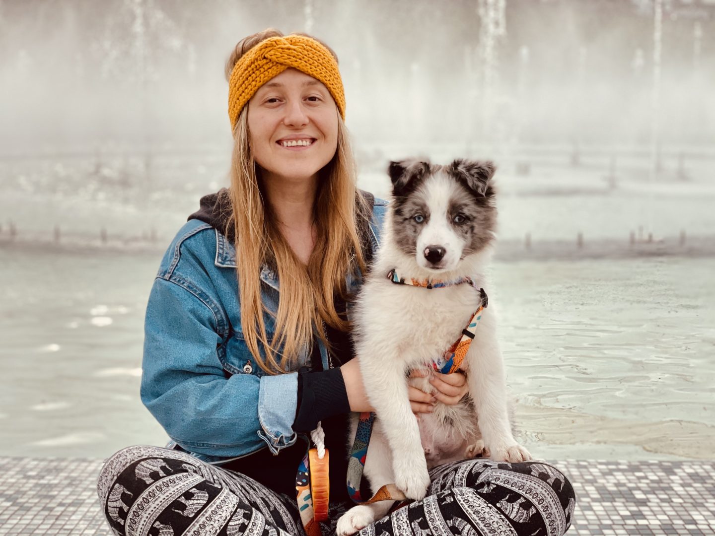 Blues pies nauczyciel.